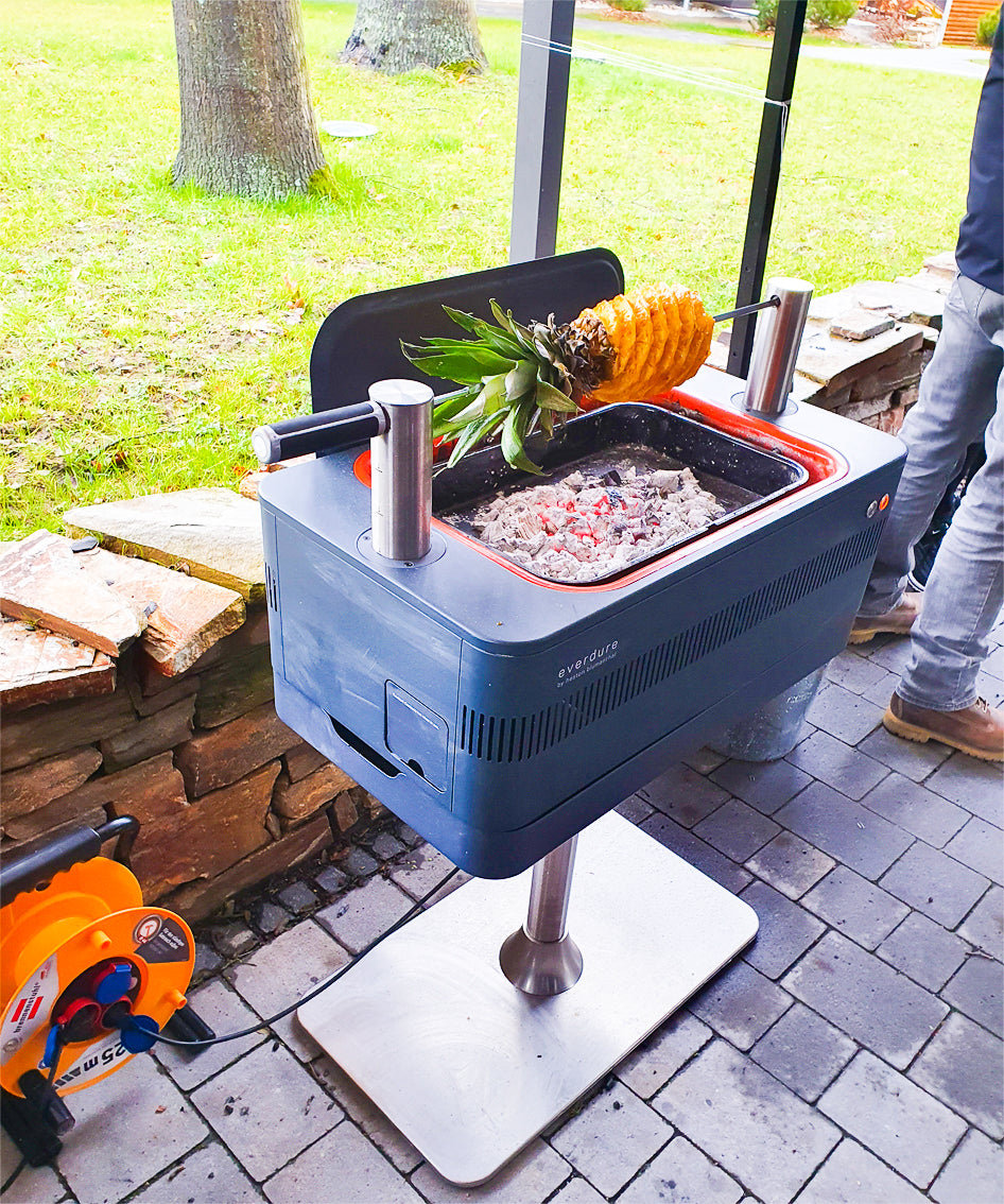 Everdure Fusion - Charcoal Braai Stand