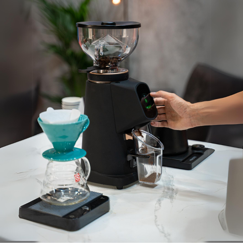 Fiorenzato All Ground Coffee Grinder