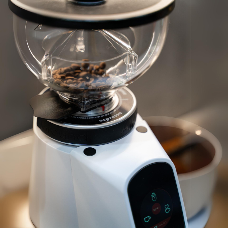 Fiorenzato All Ground Coffee Grinder